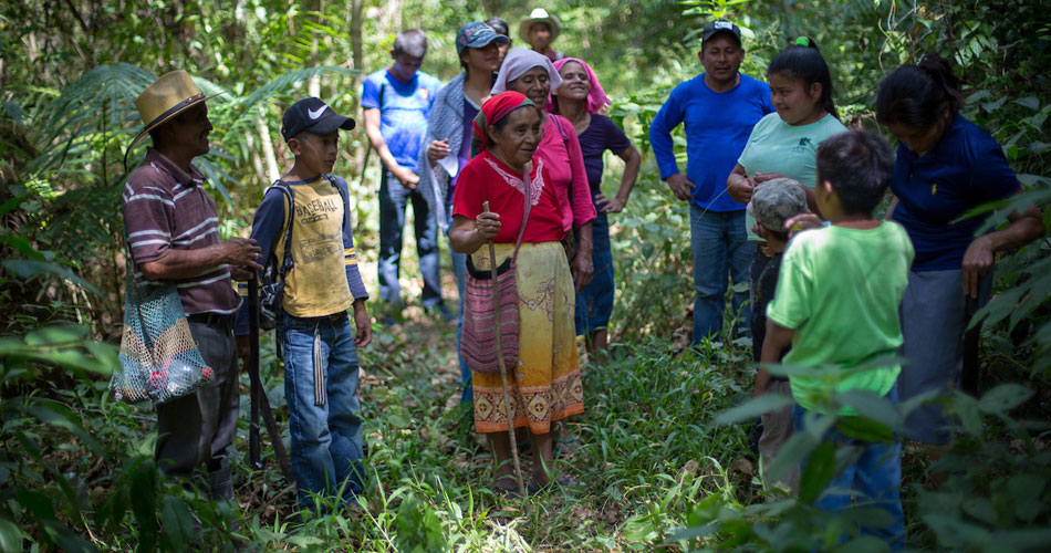 A group of land defenders gather in the forest in Honduras