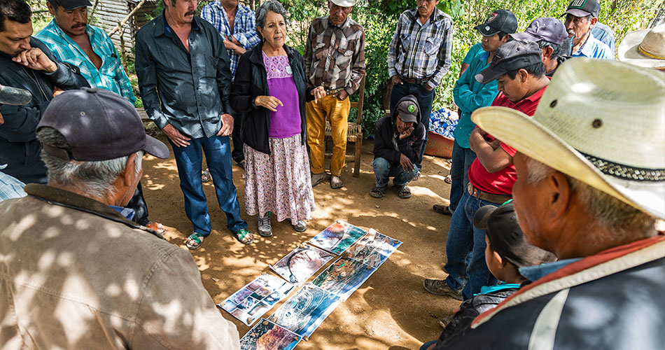 Mexican earth defenders stand in a circle in the forest looking at plans