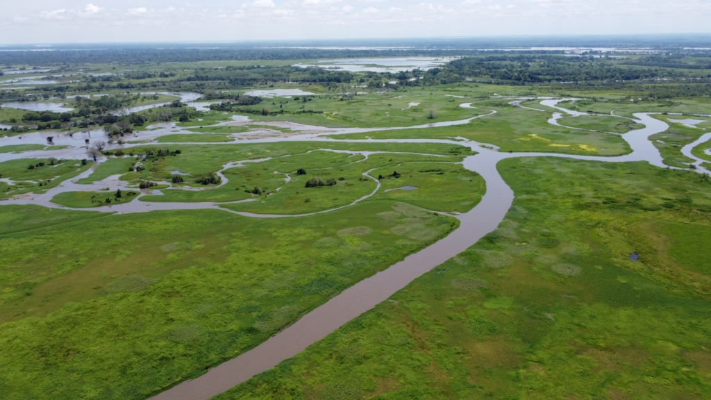 The Magdalena River Basin