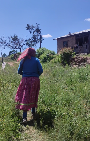 A woman walks up a path to her home