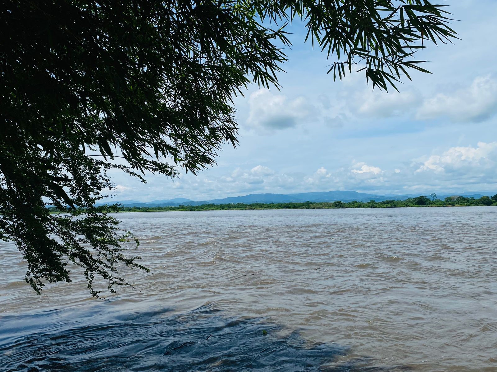 Beautiful photo of the river