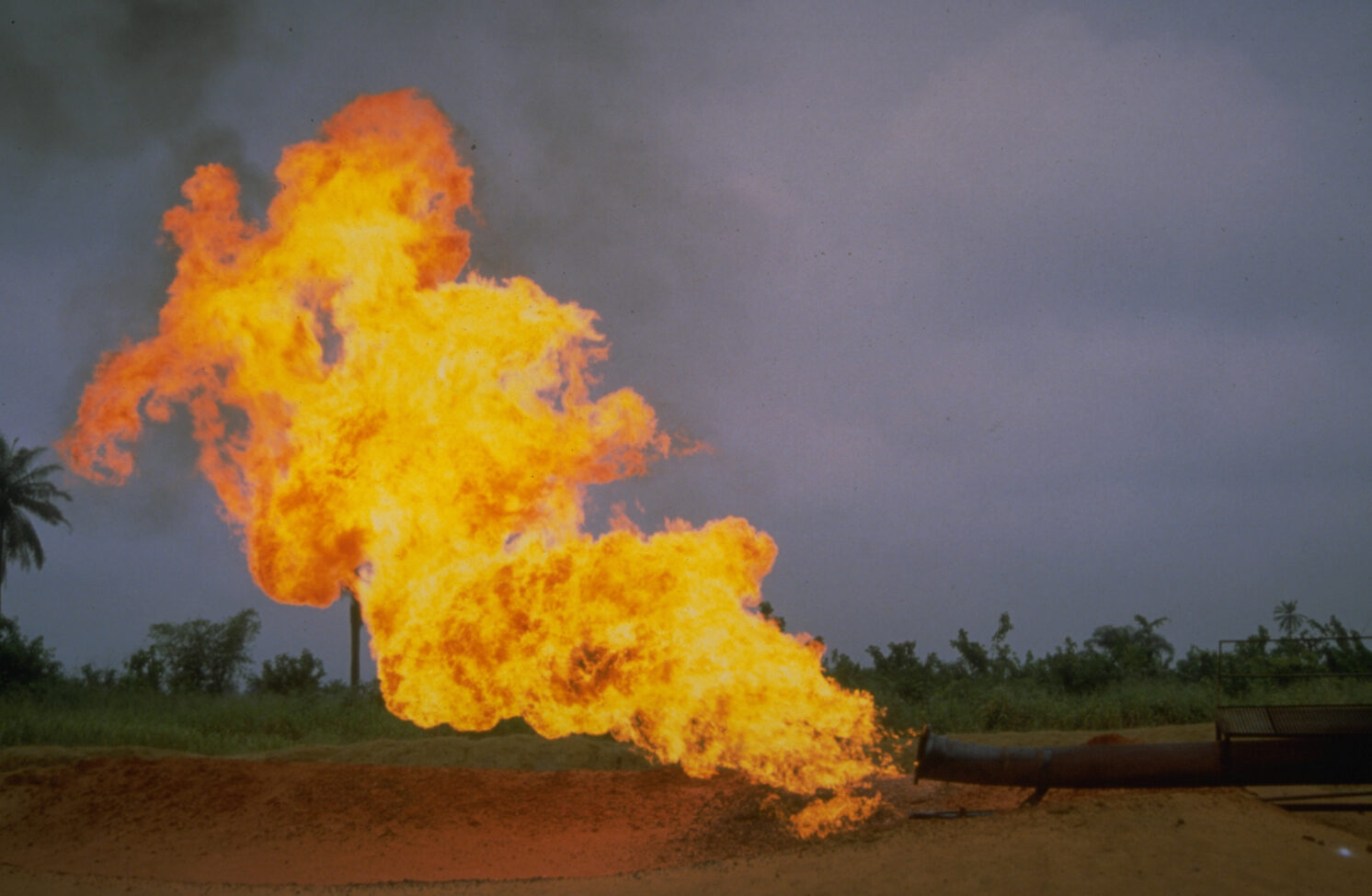 A fire flares out of an exhaust pipe at one of Shell’s oil fields in Bomo, Nigeria. Shell’s longstanding and treacherous history in the Niger Delta has plagued the region with disastrous oil spills and violent crackdowns against the local Ogoni people’s activism. Photo by Tim Lambon / Greenpeace
