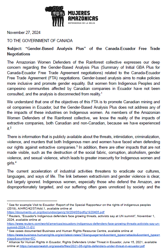 Image of the statement by Amazonian Women Defenders of the Rainforest
