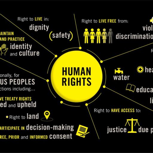 Human rights web