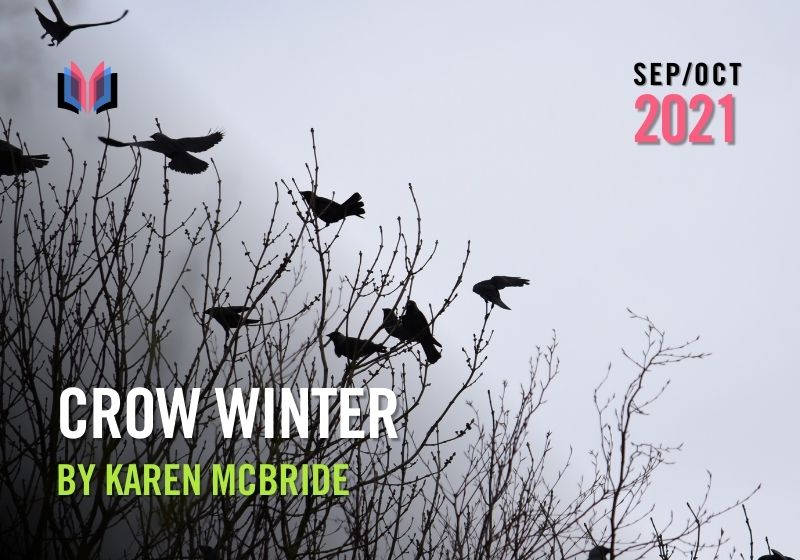 Crow Winter by Karen McBride