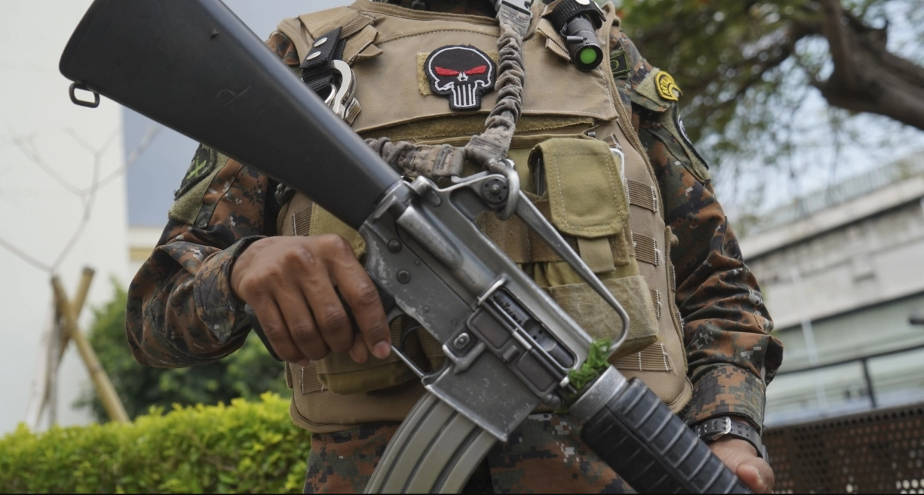 Security official with gun