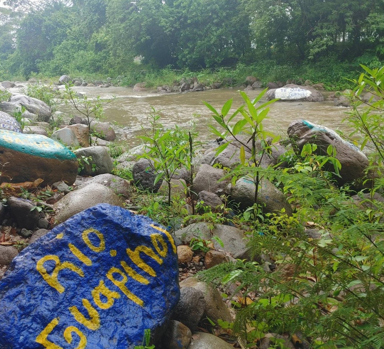 Image of the Guapinol river with a painted rock with the inscription 'Rio Guapinol'