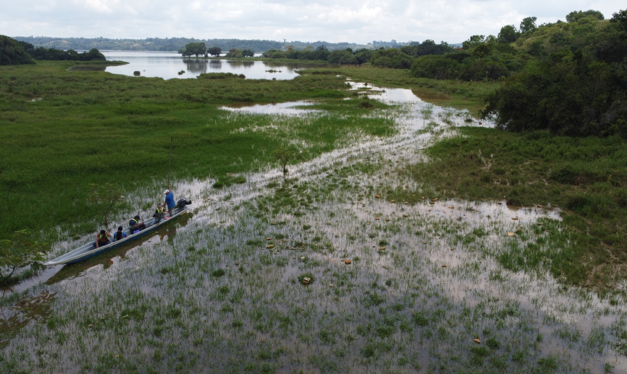 A boat with five people in it navigates a grassy swamp