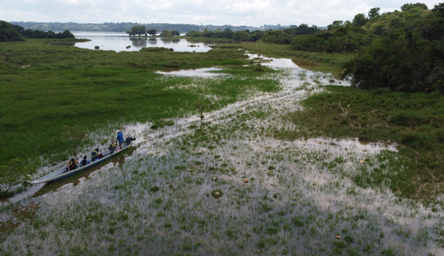 A boat with five people in it navigates a grassy swamp