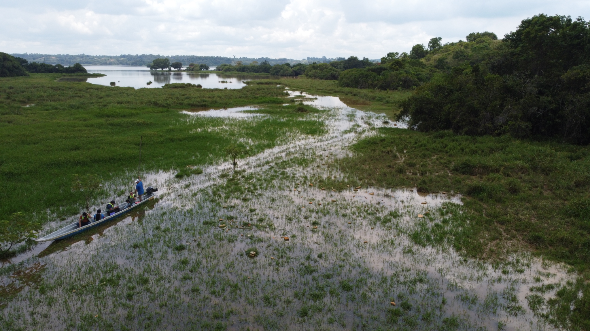 Yuly travels through threatened wetlands