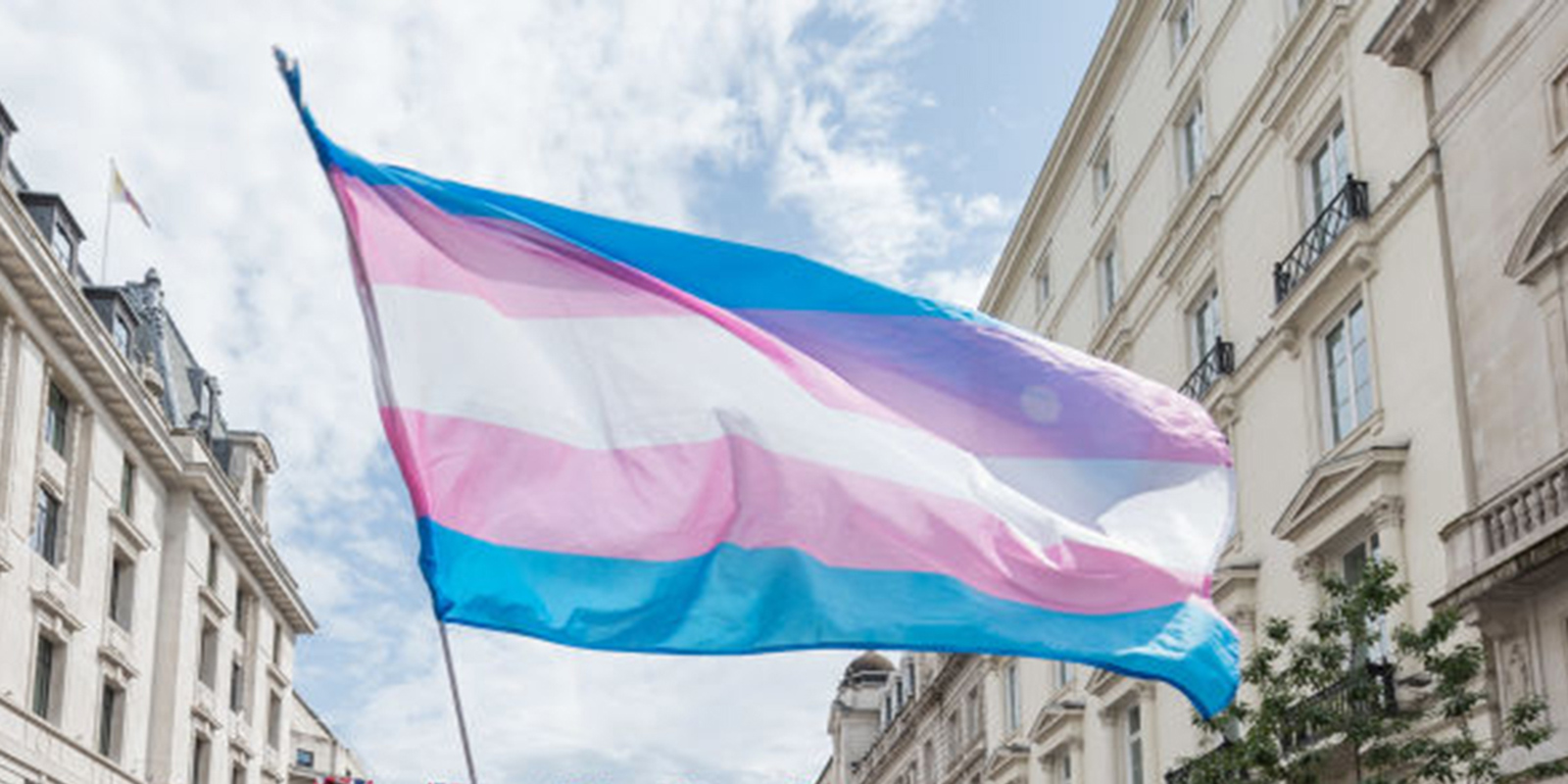 A flag representing trans pride featuring light blue, pink and white horizontal stripes