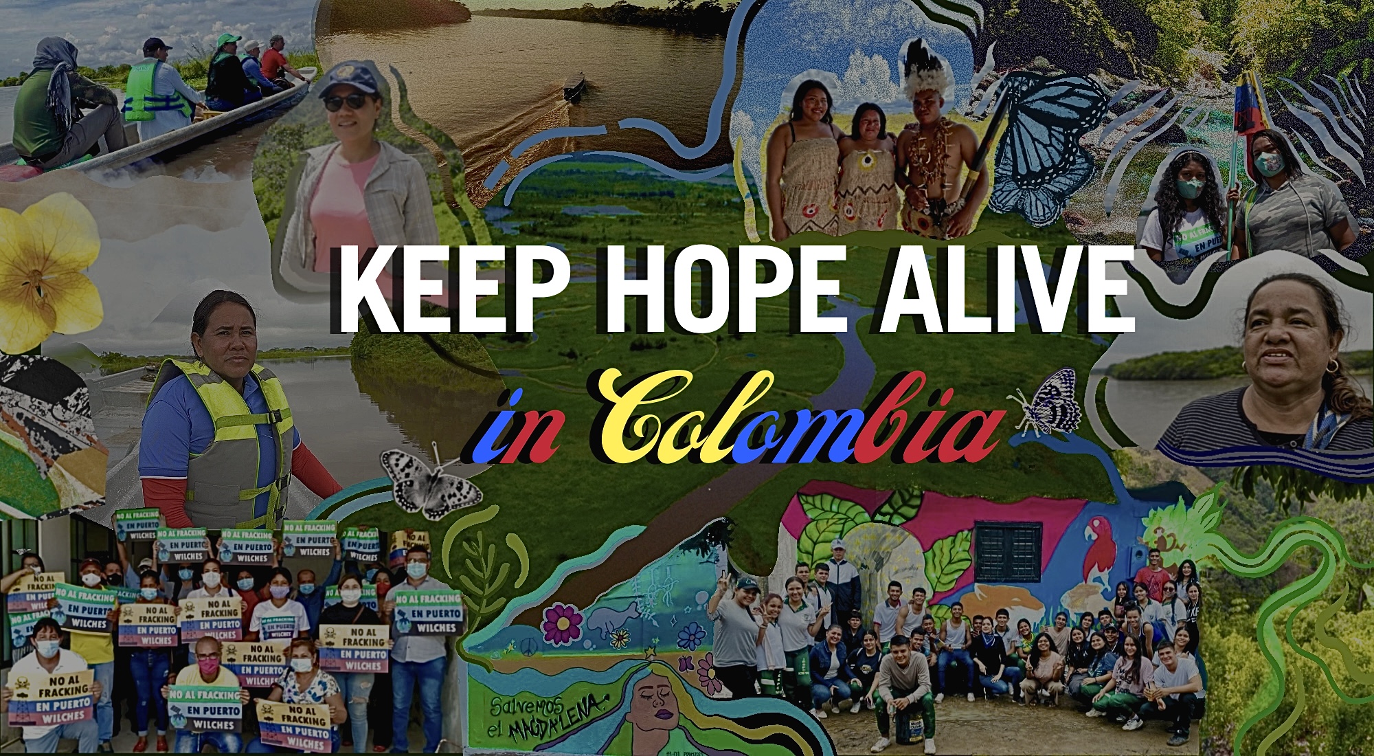 A collage of defenders and the environment they seek to protect