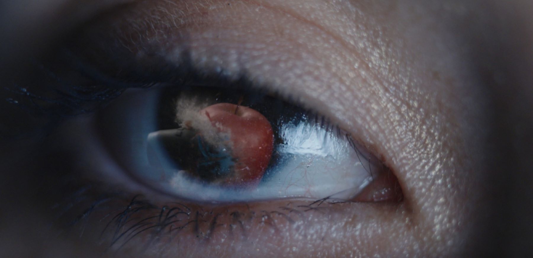 Torture-free Trade Treaty film © Don't Panic and Flying Shoe Films