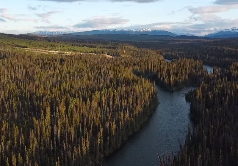 Wet'suwet'en Territory