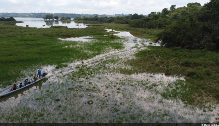 photo of sensitive wetland area