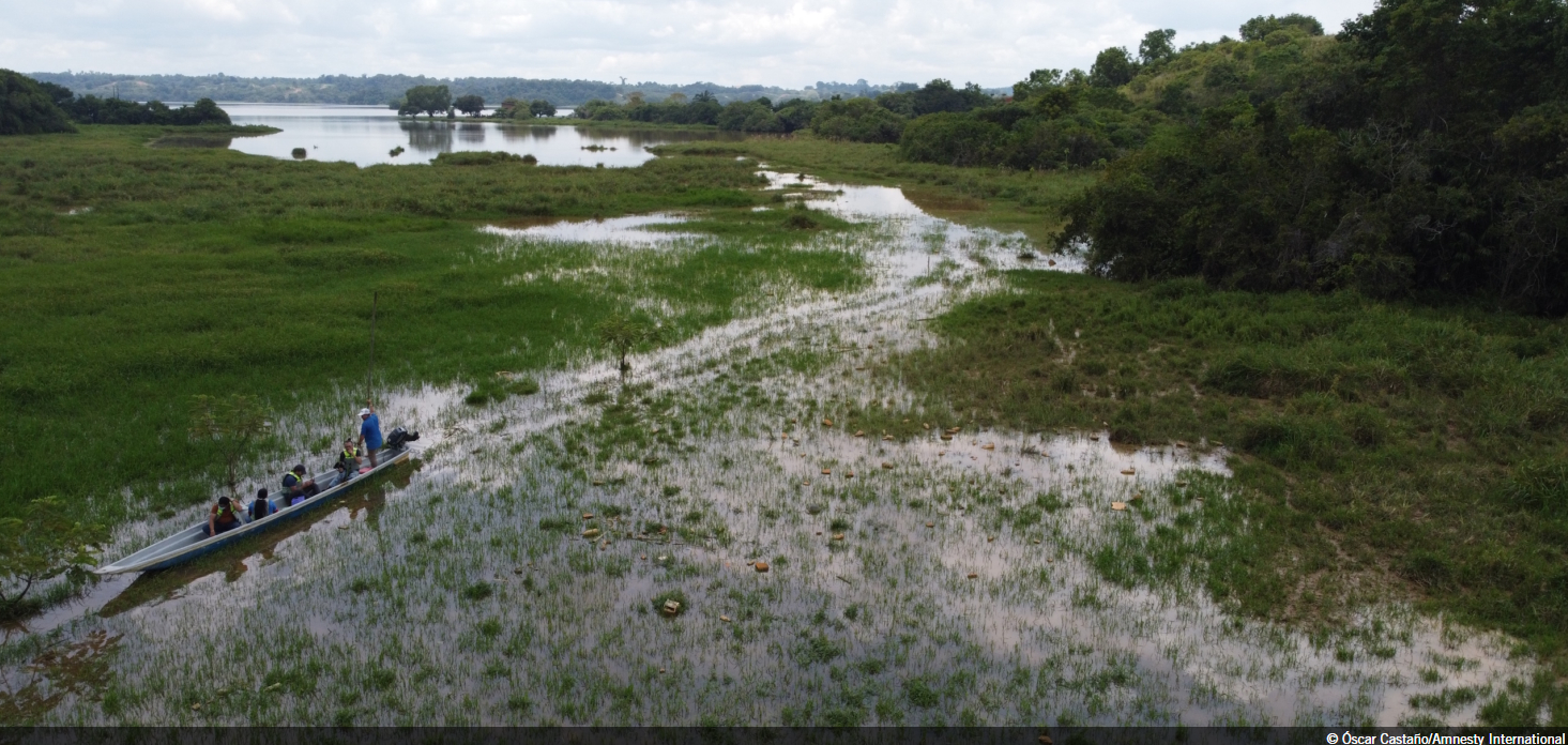 photo of sensitive wetland area