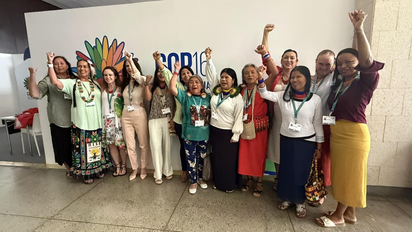 Amazonian Women Defenders of the Forest raise their fists at COP16 in Colombia in October.