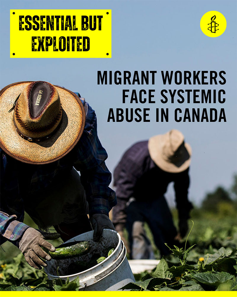 migrant-workers-1