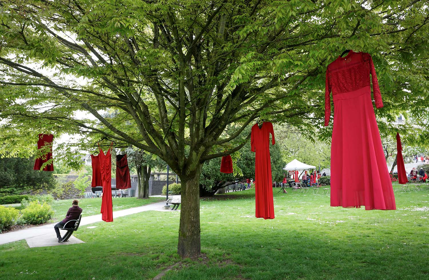 Red dresses hanging from a tree