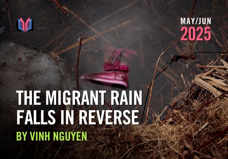 The Migrant Rain Falls in Reverse by Vinh Nguyen