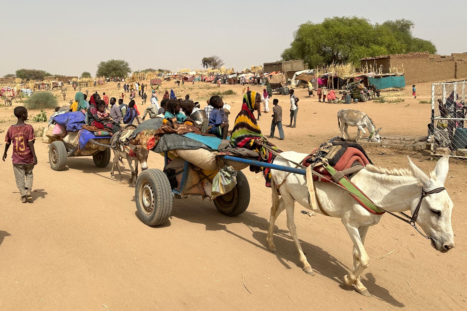 People who fled the Zamzam camp for the internally displaced after it fell under RSF control, arrive with their belongings on donkey carts to a makeshift encampment in an open field near the town of Tawila in war-torn Sudan's western Darfur region on April 13, 2025. Photo by -/AFP via Getty Images.