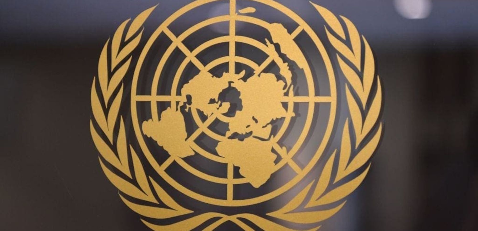 UN logo © Angela Weiss/AFP via Getty Images